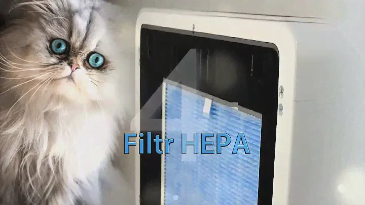 Blaupunkt Lavender 2041 - oczyszczacz powietrza - www.klimasklep.pl - prezentacja produktu