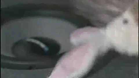 Blaupunkt